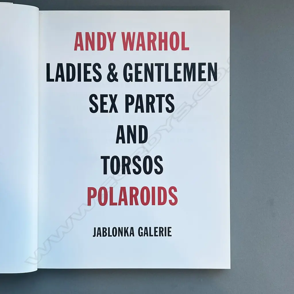 ANDY WARHOL: LADIES & GENTLEMEN SEX PARTS TORSOS POLAROIDS Image 1++